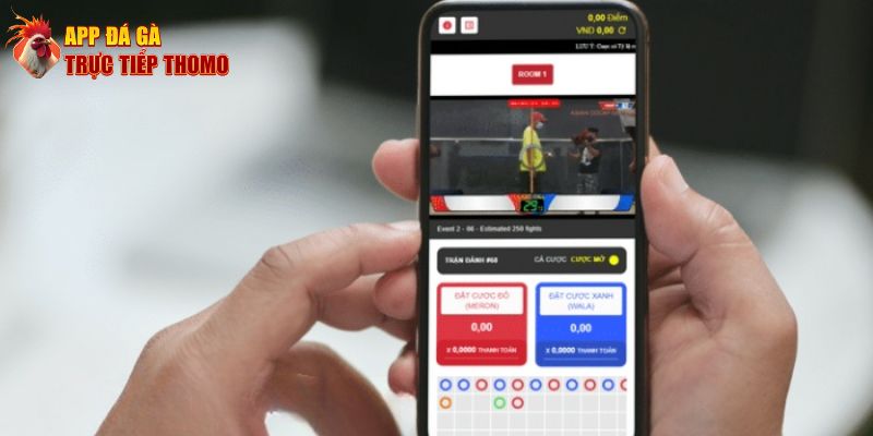 Một vài thông tin cơ bản về App Đá Gà Trực Tiếp Thomo