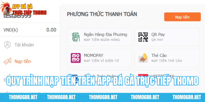 Nạp tiền tham gia app đá gà qua nhiều phương thức trong tích tắc