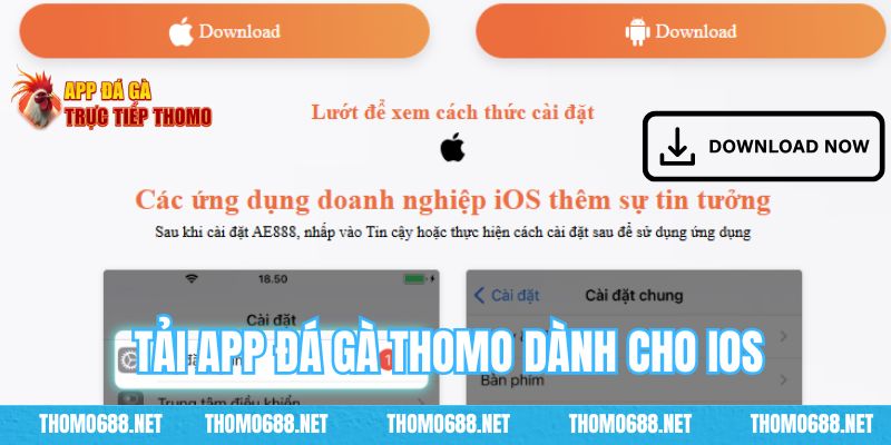 Cách tải app về di động iOS chỉ 3 thao tác đơn giản