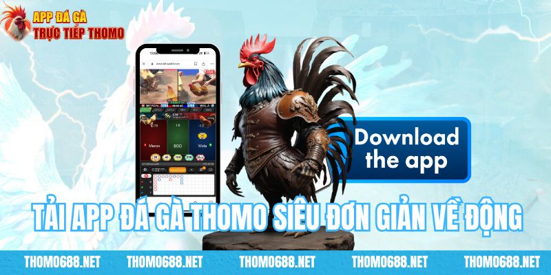 Tải App Đá Gà Trực Tiếp Thomo siêu đơn giản dành cho mọi thiết bị