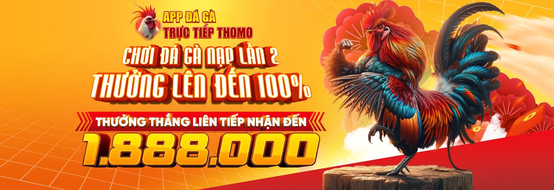 App Đá Gà Trực Tiếp Thomo - Thomo688.net