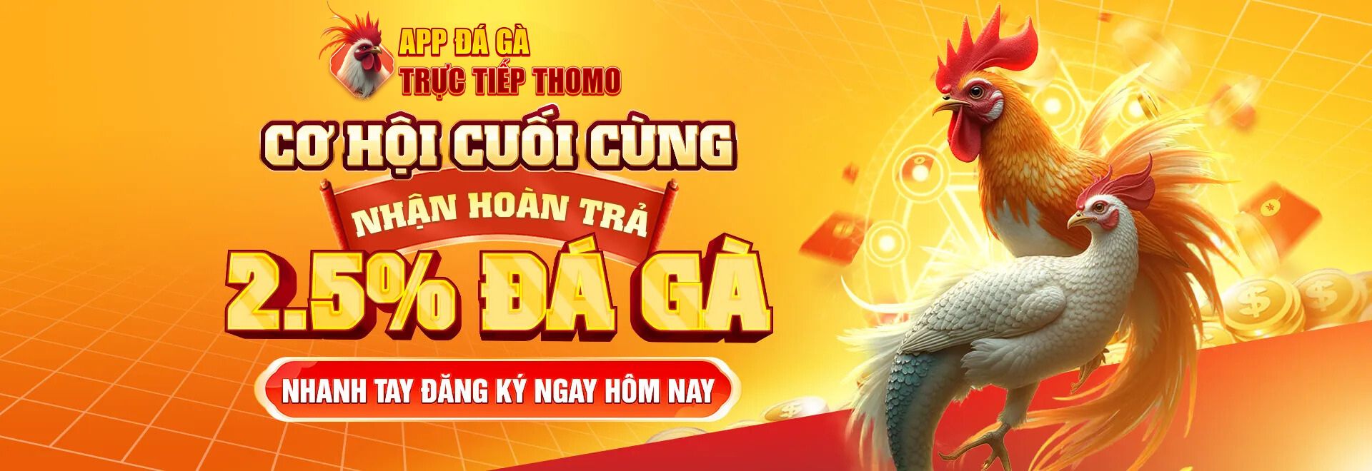 App Đá Gà Trực Tiếp Thomo - Thomo688.net