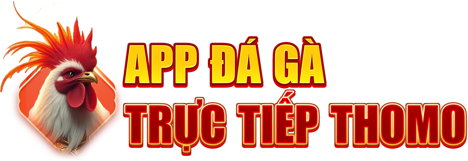 APP ĐÁ GÀ TRỰC TIẾP THOMO