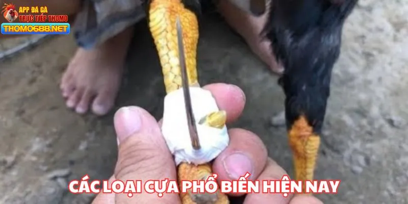 3 loại cựa đang dùng phổ biến hiện nay