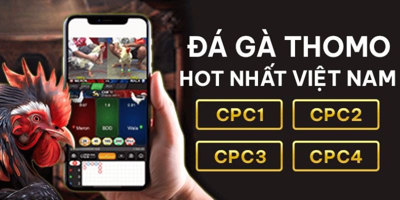 Điều kiện đăng ký đại lý App Đá Gà Trực Tiếp Thomo