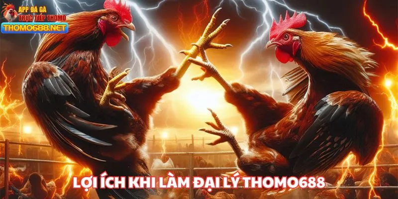 Tìm hiểu lý do nên làm đại lý THOMO688