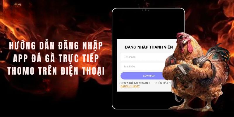 Đăng nhập App Đá Gà Trực Tiếp Thomo - Hướng dẫn chi tiết nhất