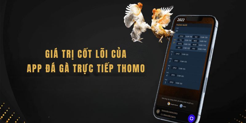 Giá trị cốt lõi của App Đá Gà Trực Tiếp Thomo