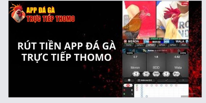 Rút tiền App Đá Gà Trực Tiếp Thomo - Rút tiền nhanh chóng cho tân thủ