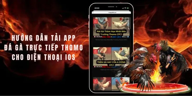 Quy trình cài đặt App THOMO688 dành riêng cho iOS