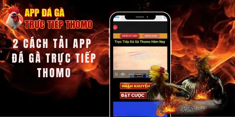 Chi tiết 2 cách tải App Đá Gà Trực Tiếp Thomo về di động nhanh nhất