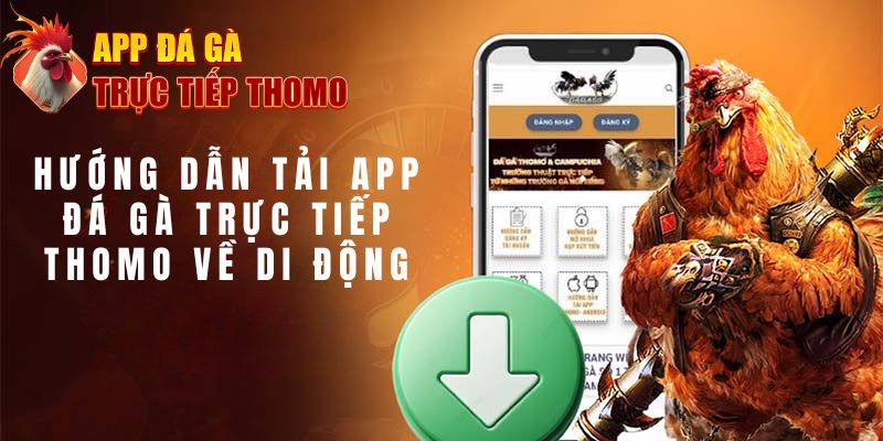 Tải App Đá Gà Trực Tiếp Thomo - Tận hưởng cá cược mượt mà