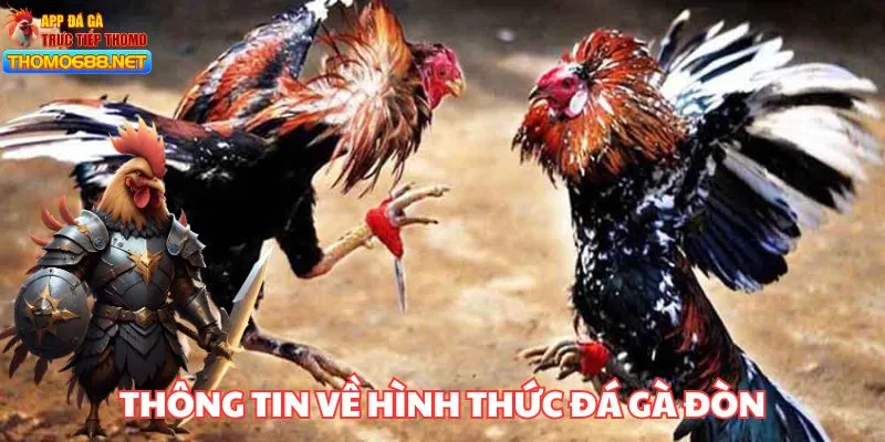 Một vài thông tin cần biết về đá gà cựa dao