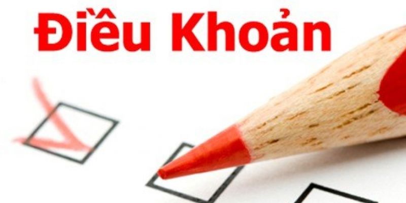 Điều khoản dịch vụ khi tham gia đặt cược