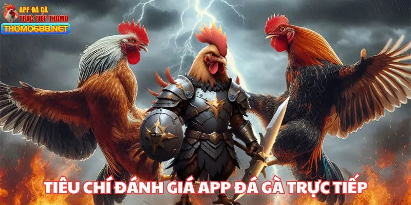 Các tiêu chí để đánh giá App Đá Gà Trực Tiếp uy tín